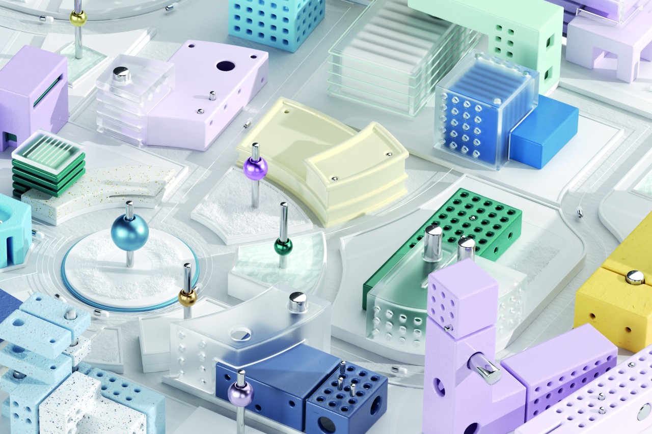 Una bussola per orientarsi nella giungla della formazione